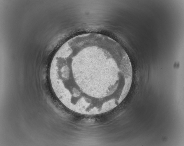 X0000112090687200909151137