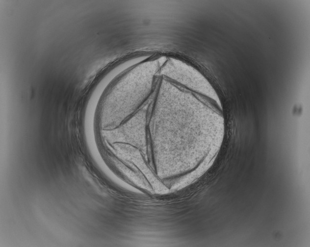 X0000112090688200909151136
