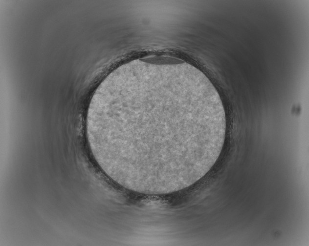 X0000112090689200909151136