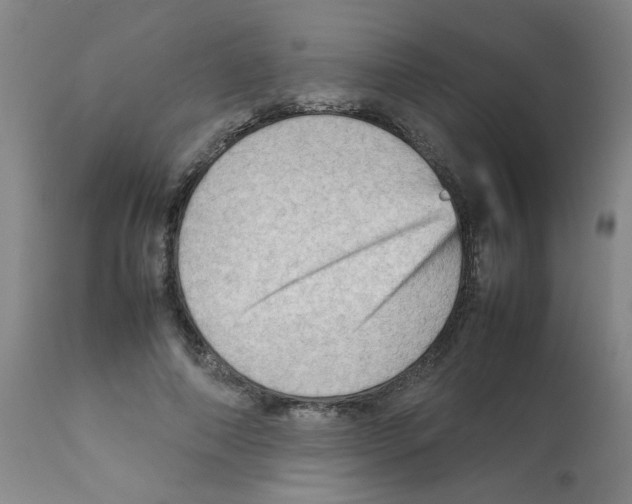 X0000112090690200909151136