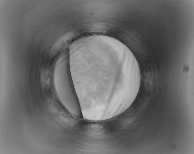 X0000112090692200909151136