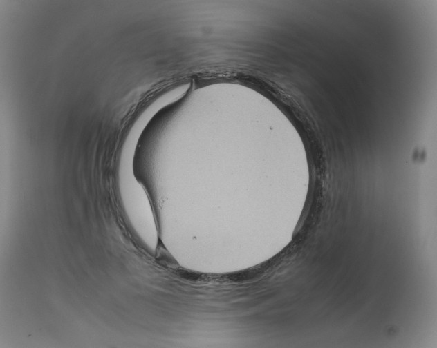 X0000112090693200909151136