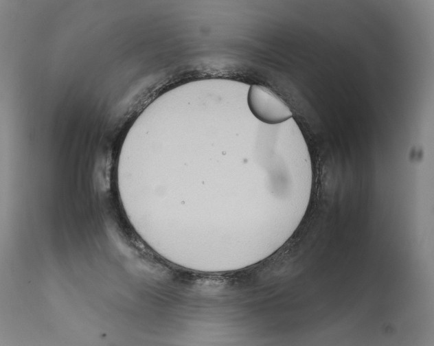 X0000112090694200909151136