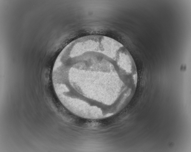 X0000112090695200909151136