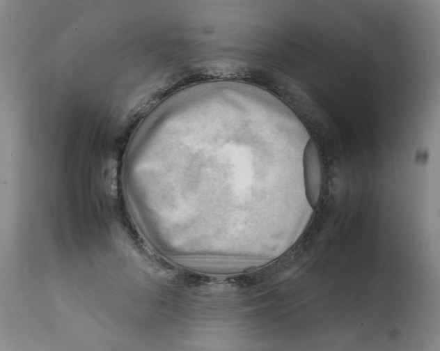 X0000112090696200909151136