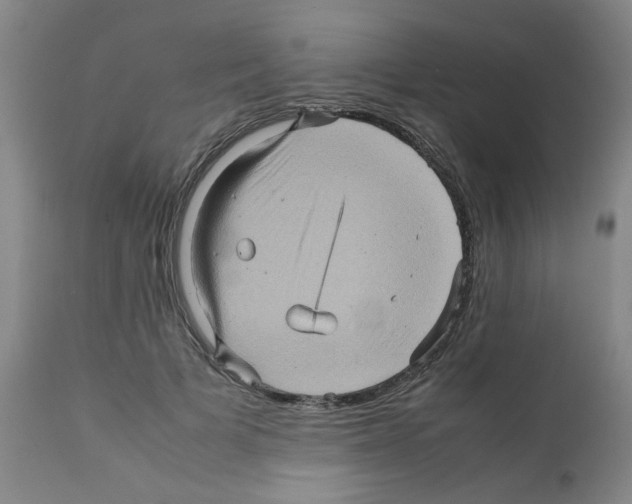 X0000112090697200909151136