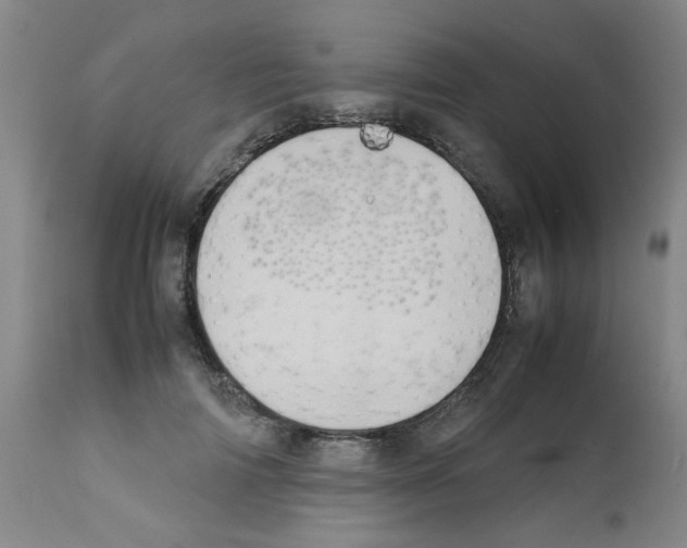 X0000112090698200909151136