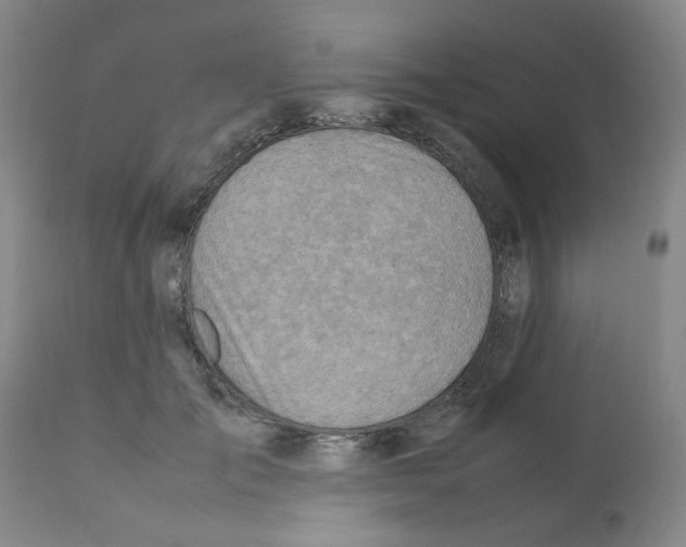 X0000112090701200909151136