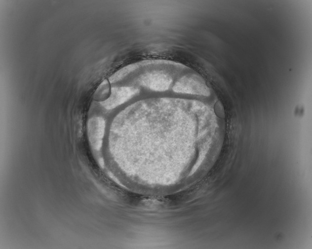 X0000112090703200909151136