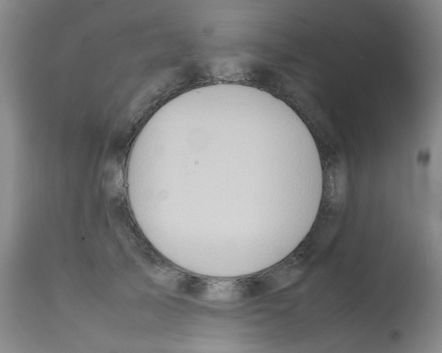 X0000112090705200909151136