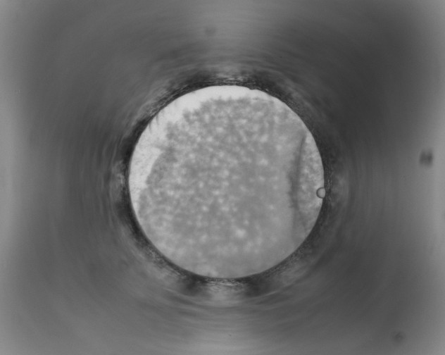X0000112090707200909151136