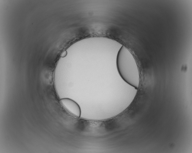 X0000112090709200909151136