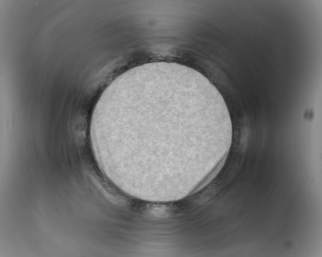 X0000112090710200909151136