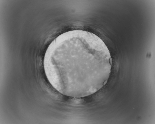 X0000112090711200909151136