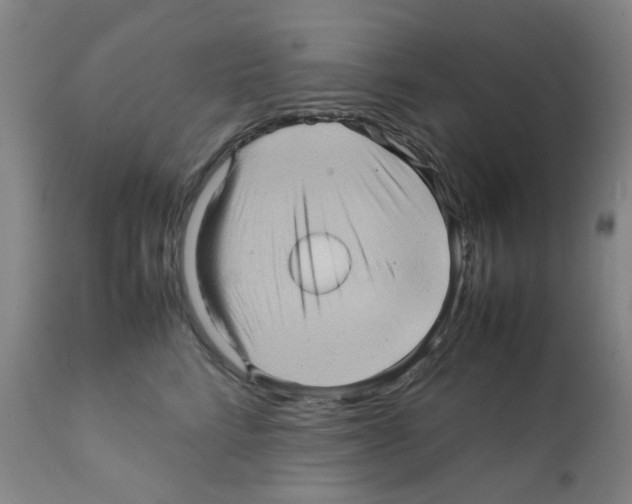 X0000112090712200909151136