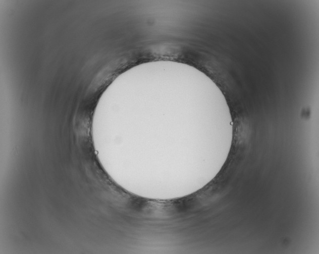 X0000112090713200909151136