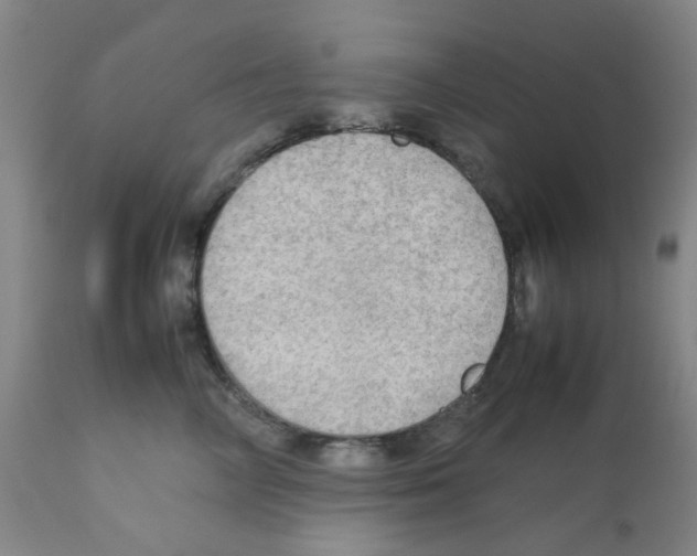 X0000112090714200909151136