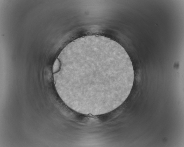 X0000112090715200909151136