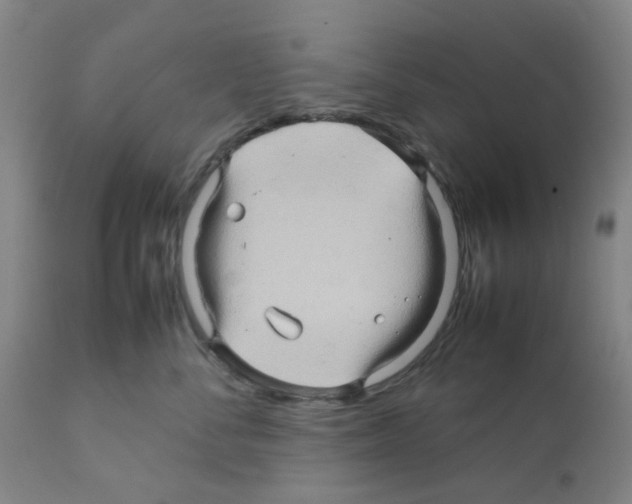 X0000112090716200909151136