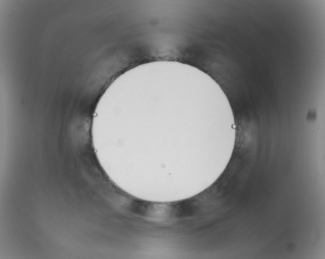 X0000112090717200909151136
