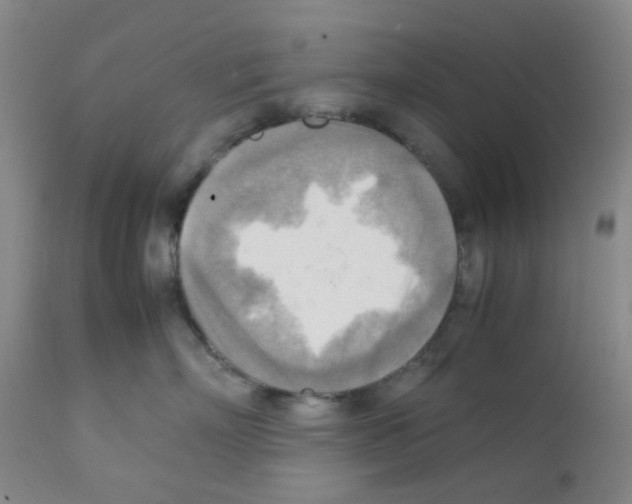 X0000112090718200909151136