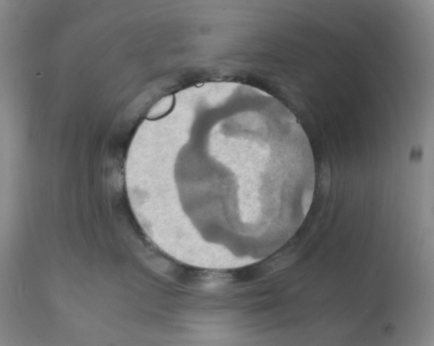 X0000112090719200909151136