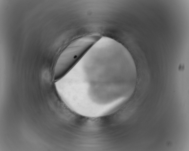 X0000112090720200909151136
