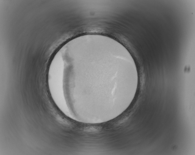 X0000112090721200909151135