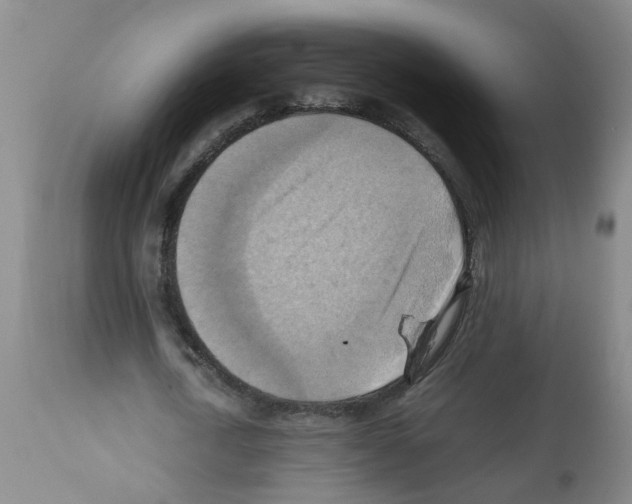 X0000112090722200909151135