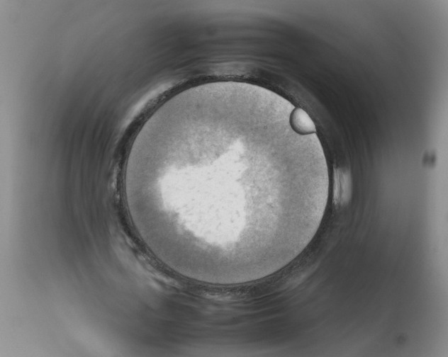 X0000112090723200909151135