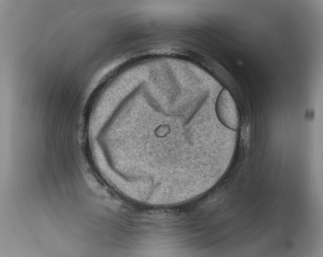 X0000112090724200909151135