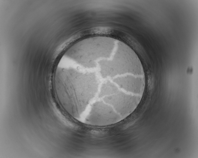 X0000112090725200909151135