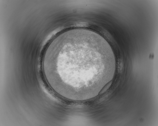 X0000112090726200909151135
