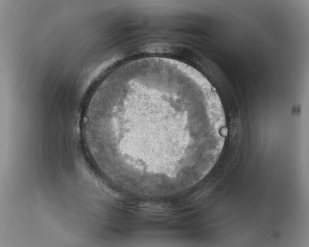 X0000112090727200909151135
