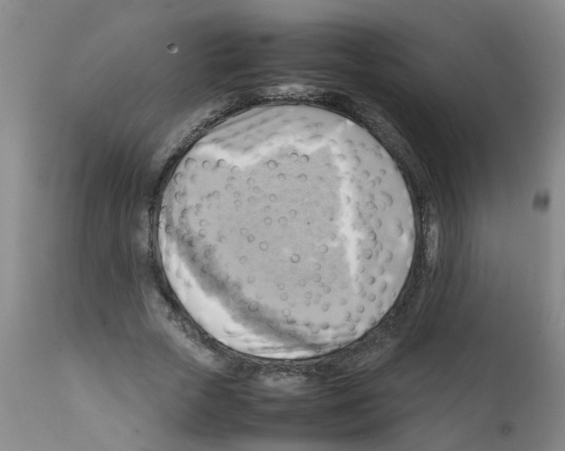 X0000112090729200909151135