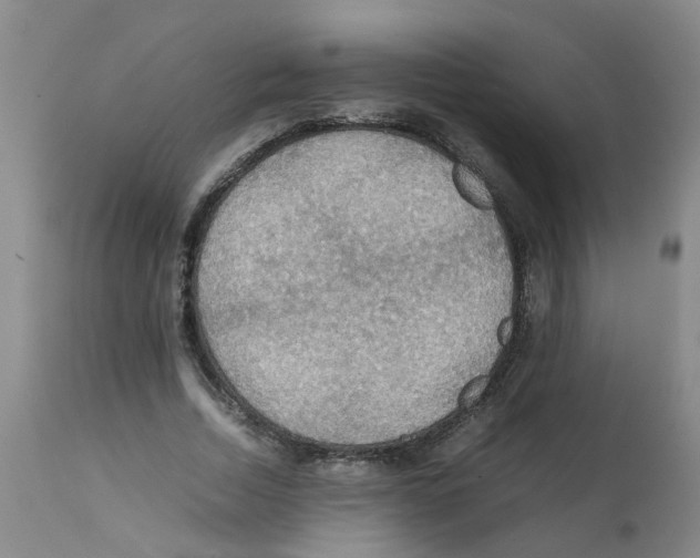 X0000112090730200909151135
