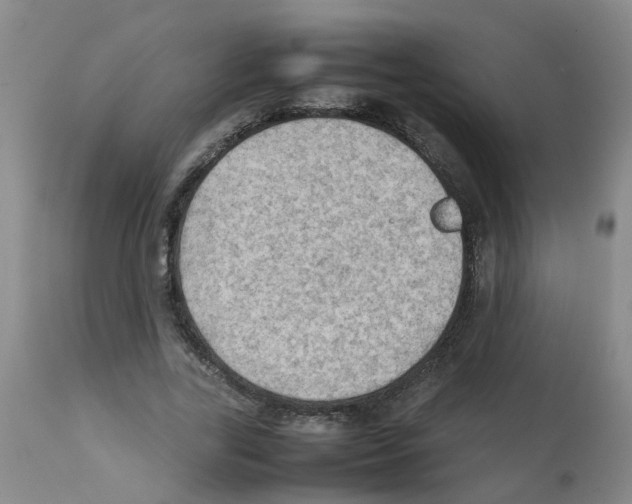 X0000112090731200909151135