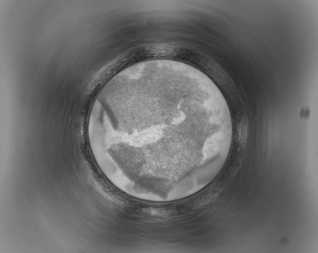 X0000112090733200909151135