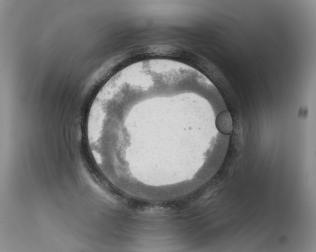 X0000112090734200909151135