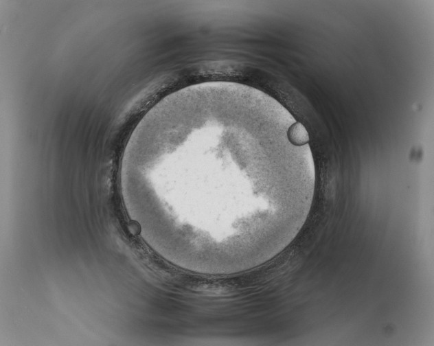 X0000112090735200909151135