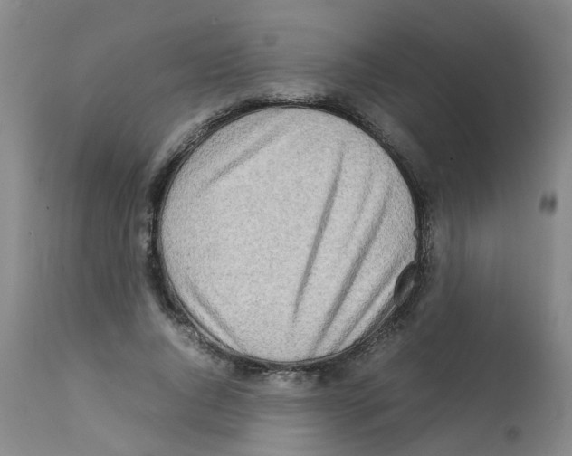 X0000112090736200909151135