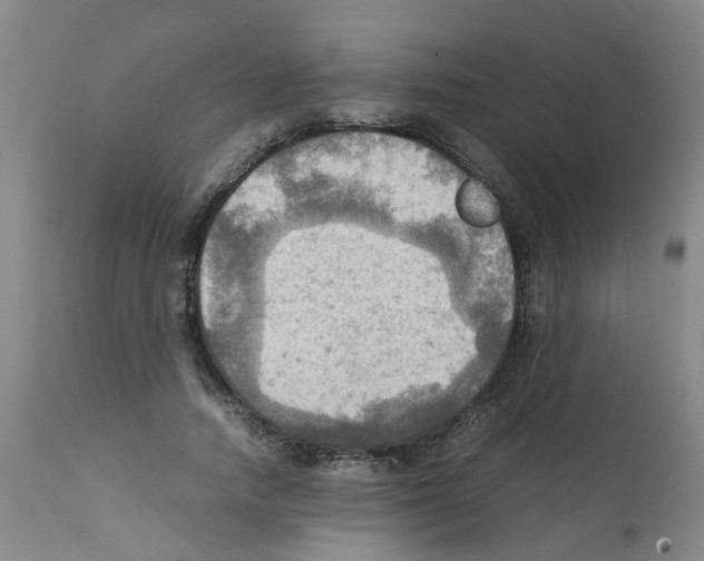 X0000112090738200909151135