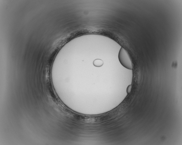 X0000112090740200909151135