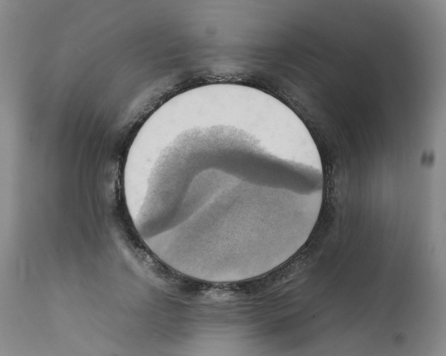 X0000112090742200909151136
