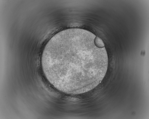 X0000112090743200909151136