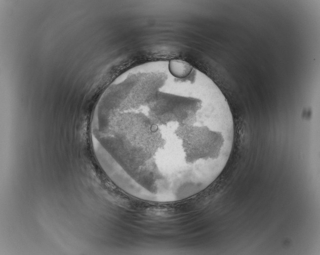 X0000112090745200909151136