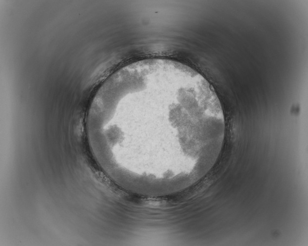 X0000112090746200909151136