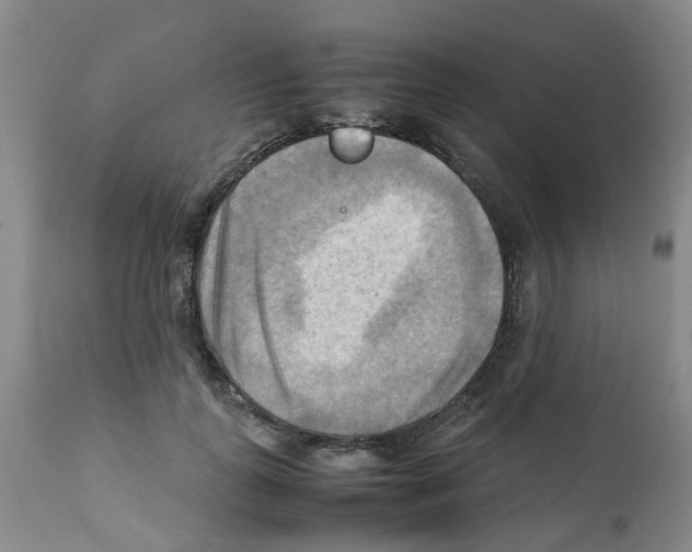 X0000112090747200909151136