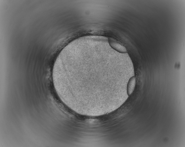 X0000112090748200909151136