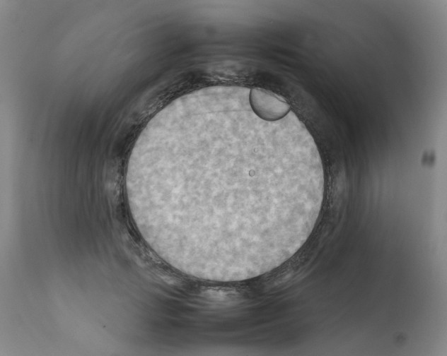 X0000112090749200909151136